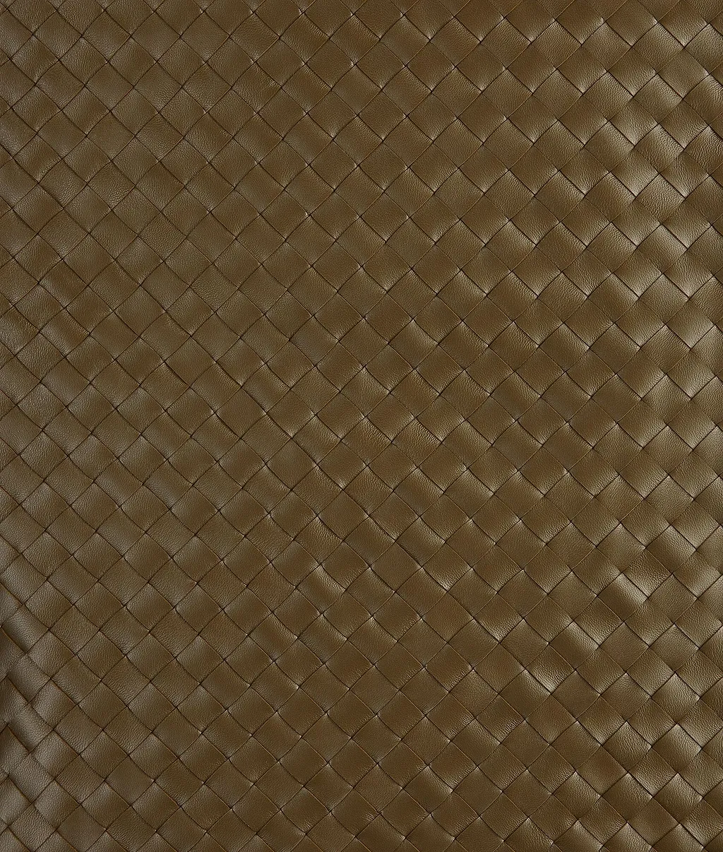 Intrecciato Leather Skirt
