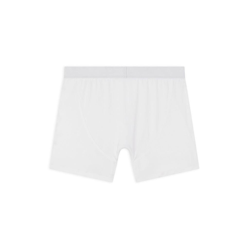 Boxer Briefs