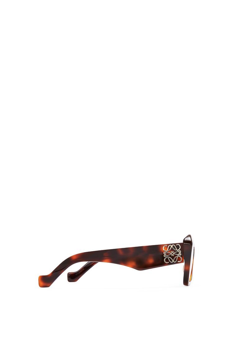 Cateye sunglasses in acetate