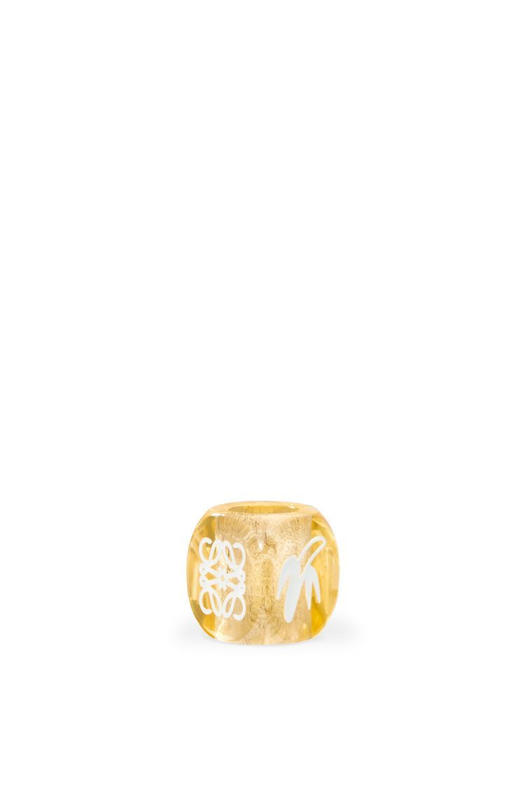 Small Fruit dice in acrylic