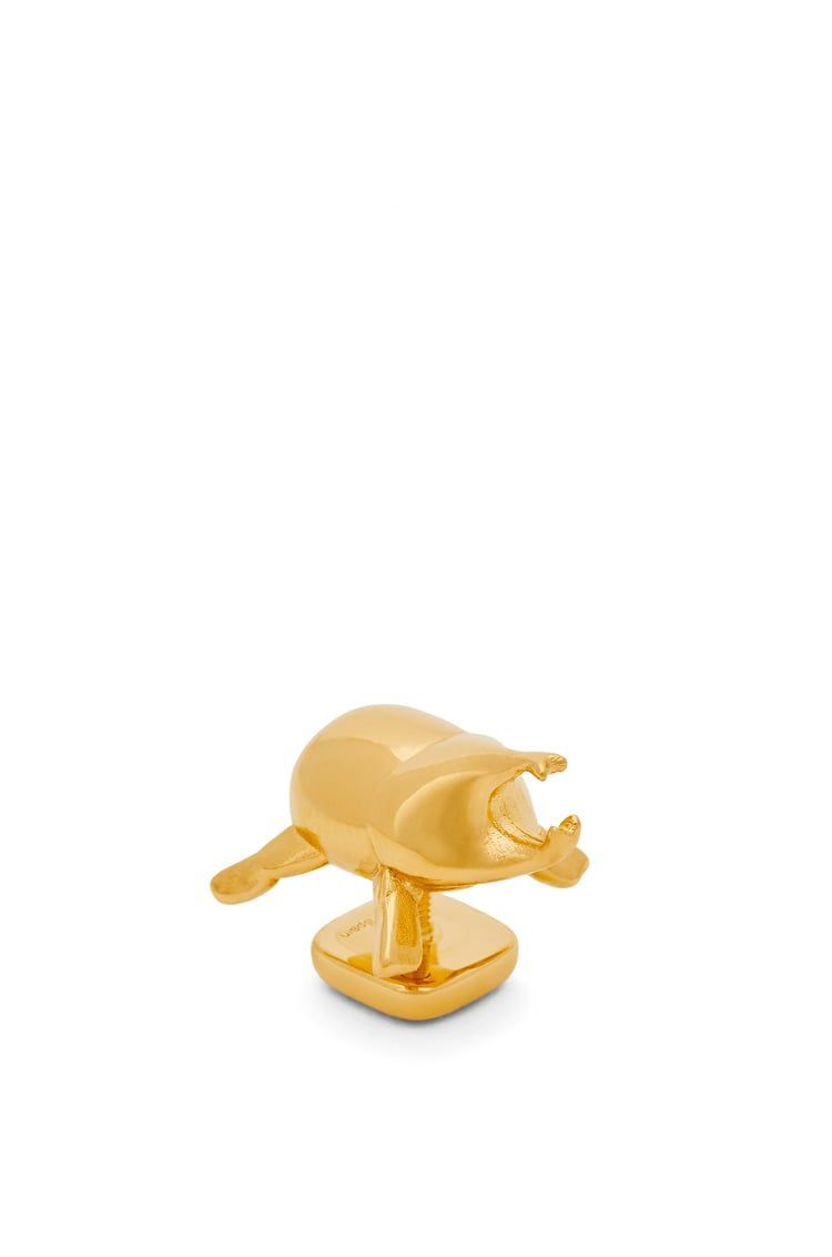 Beetle pin in brass