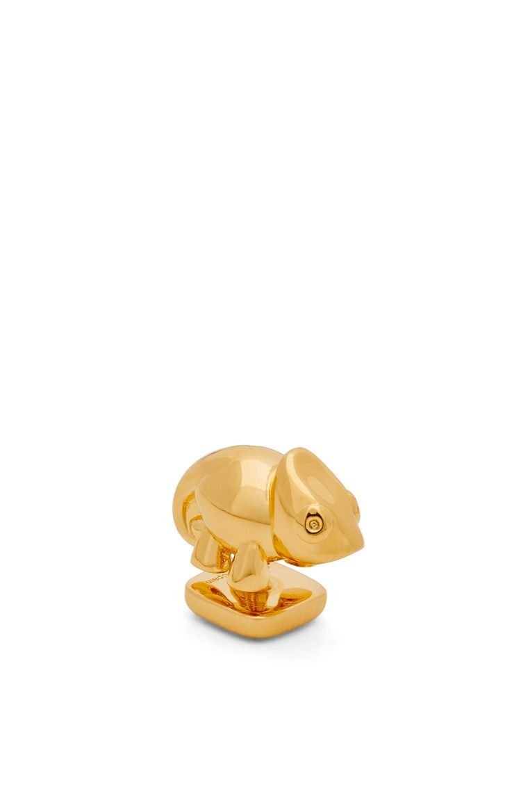 Chameleon pin in brass