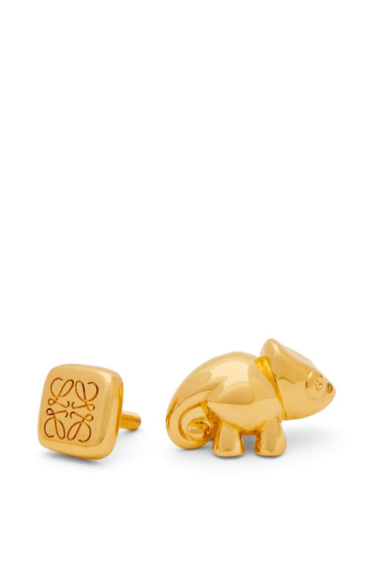 Chameleon pin in brass