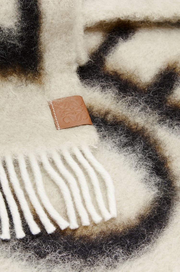 LOEWE scarf in wool and mohair