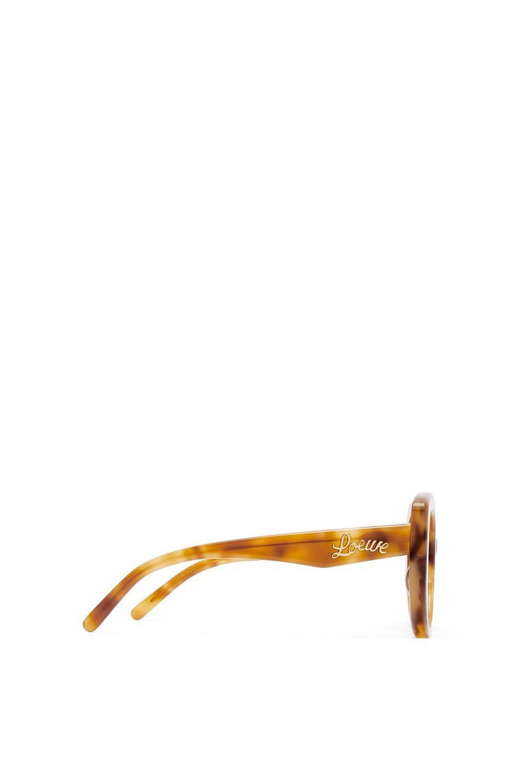 Butterfly sunglasses in acetate