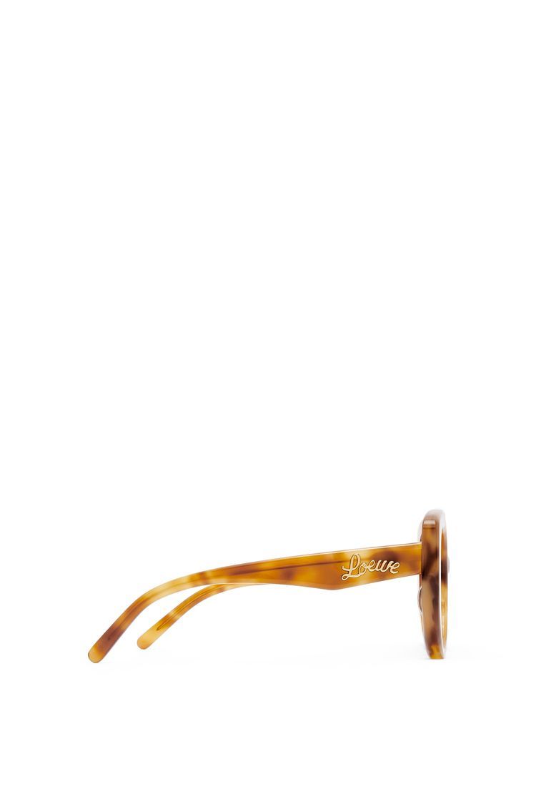 Butterfly sunglasses in acetate