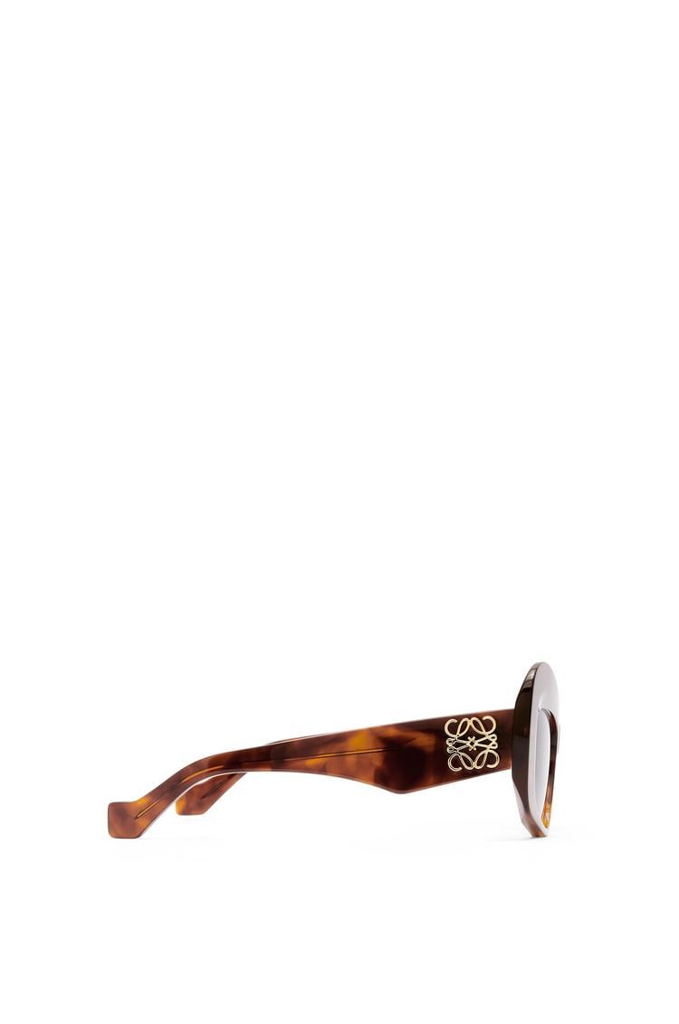 Eagle Wings sunglasses in acetate
