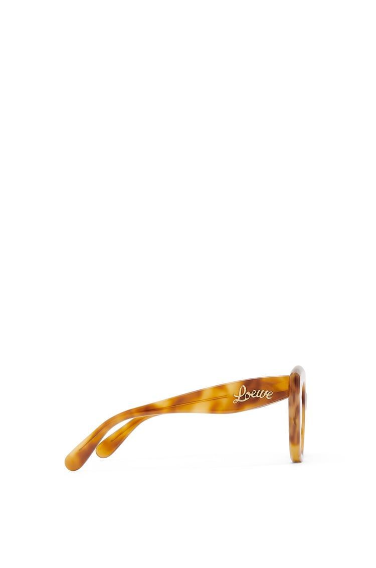 Tarsier sunglasses in acetate