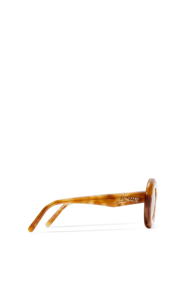 Wing sunglasses