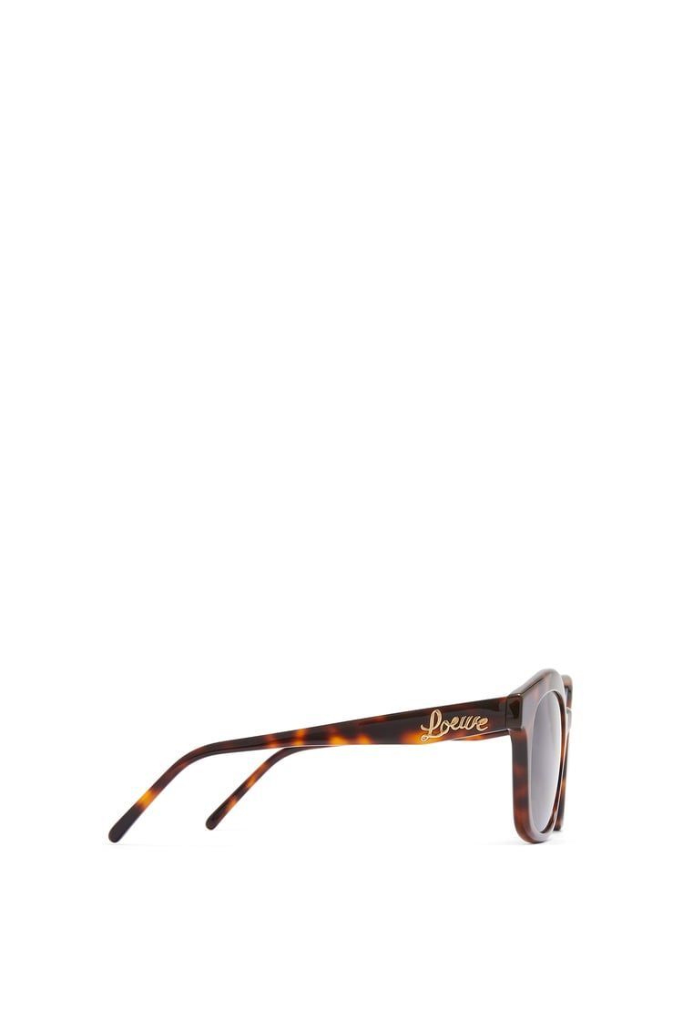 Browline sunglasses in acetate