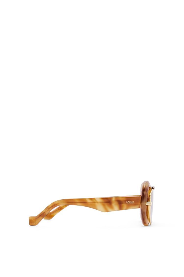 Wing double frame sunglasses in acetate and metal