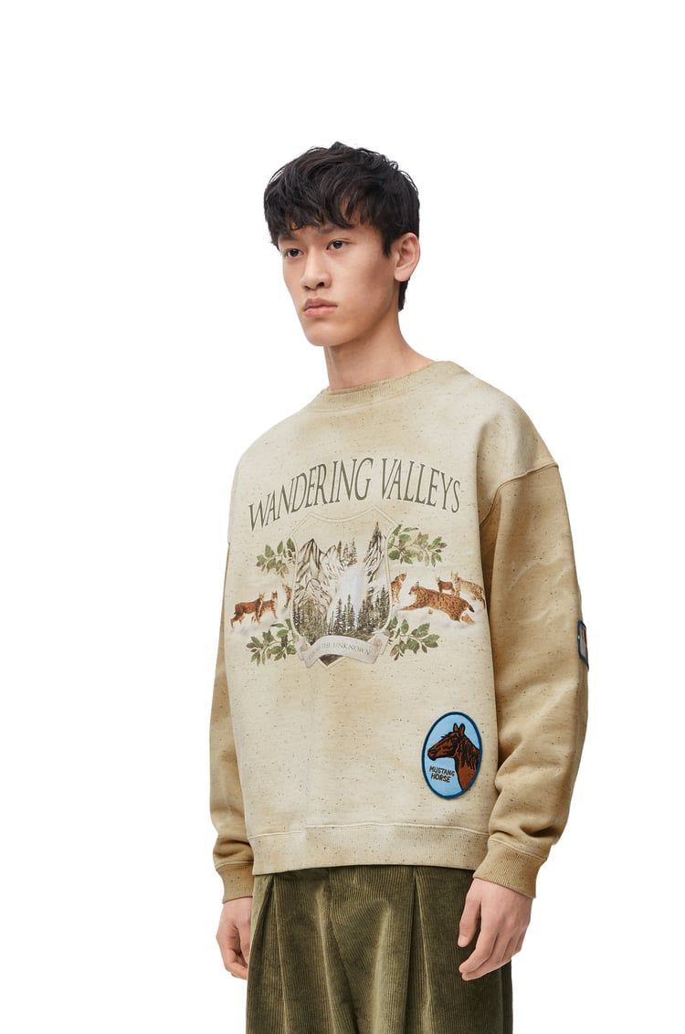 Sweatshirt in cotton