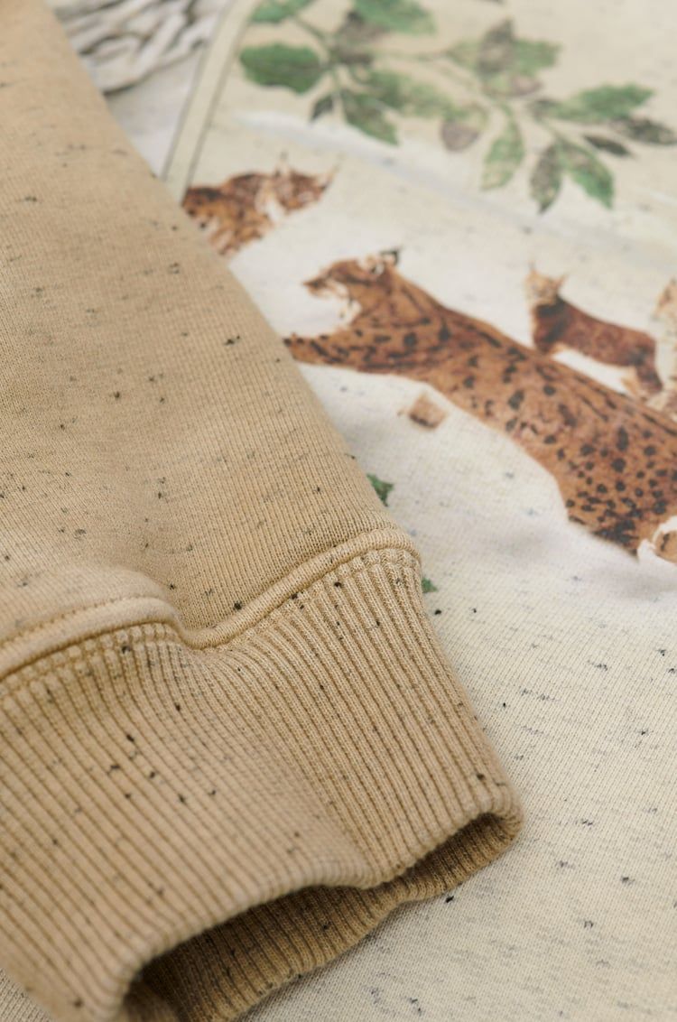 Sweatshirt in cotton