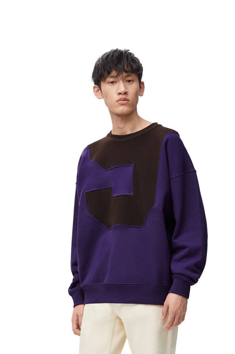 Sweatshirt in cotton