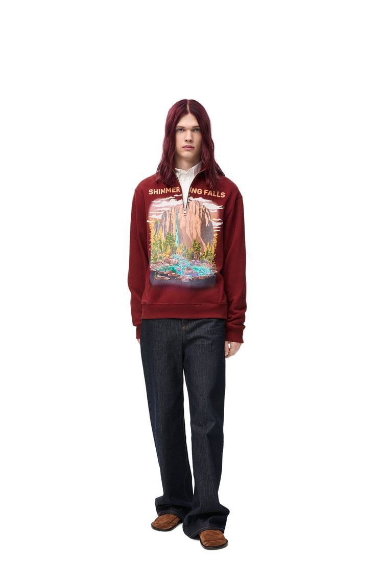 Zip-up sweatshirt in cotton