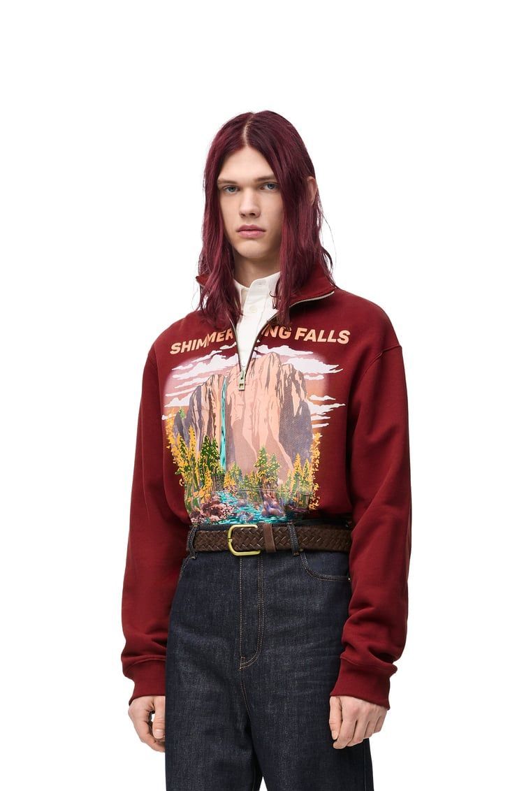 Zip-up sweatshirt in cotton