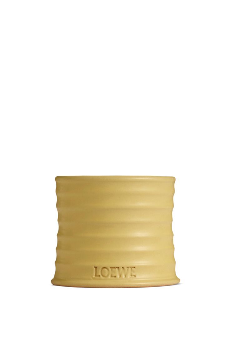 Honeysuckle candle