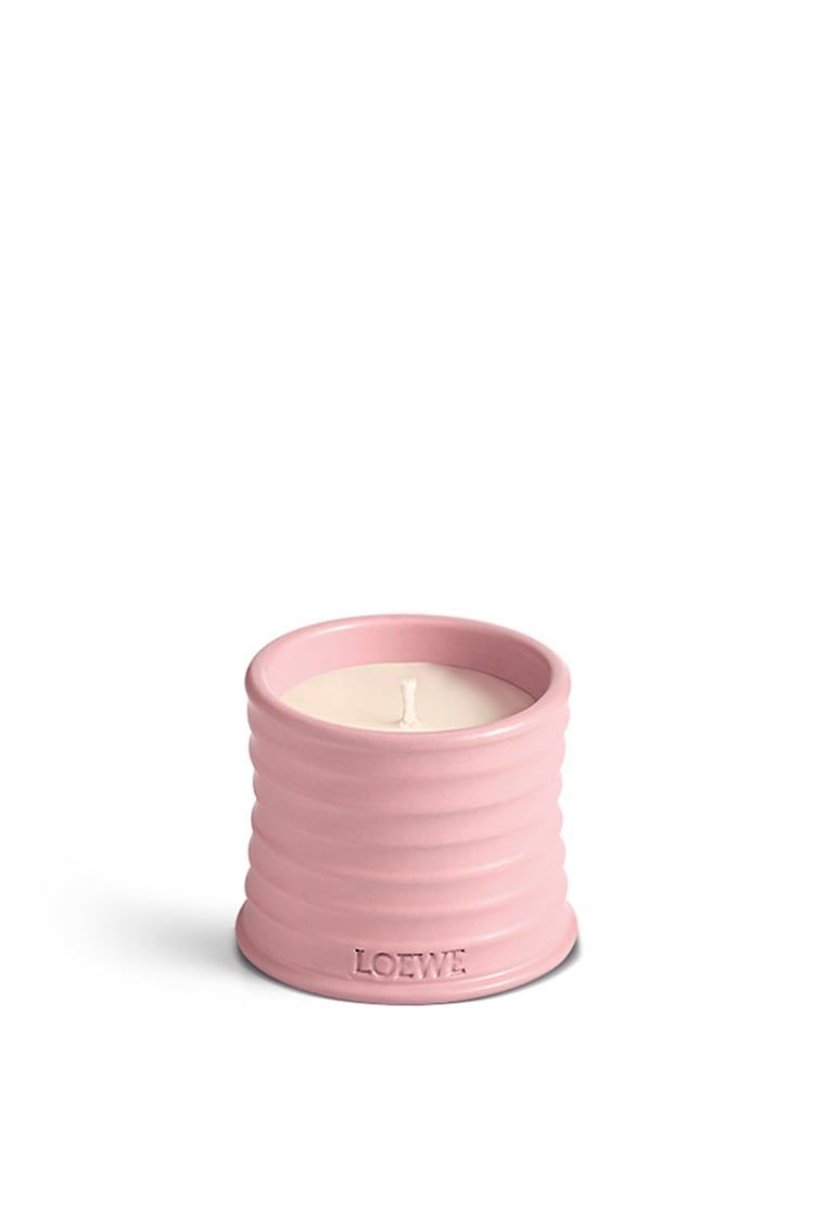 Ivy candle