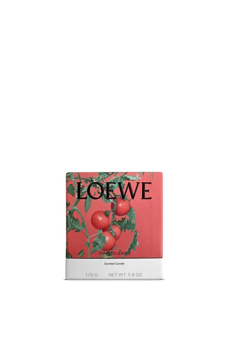 Small Tomato Leaves Candle