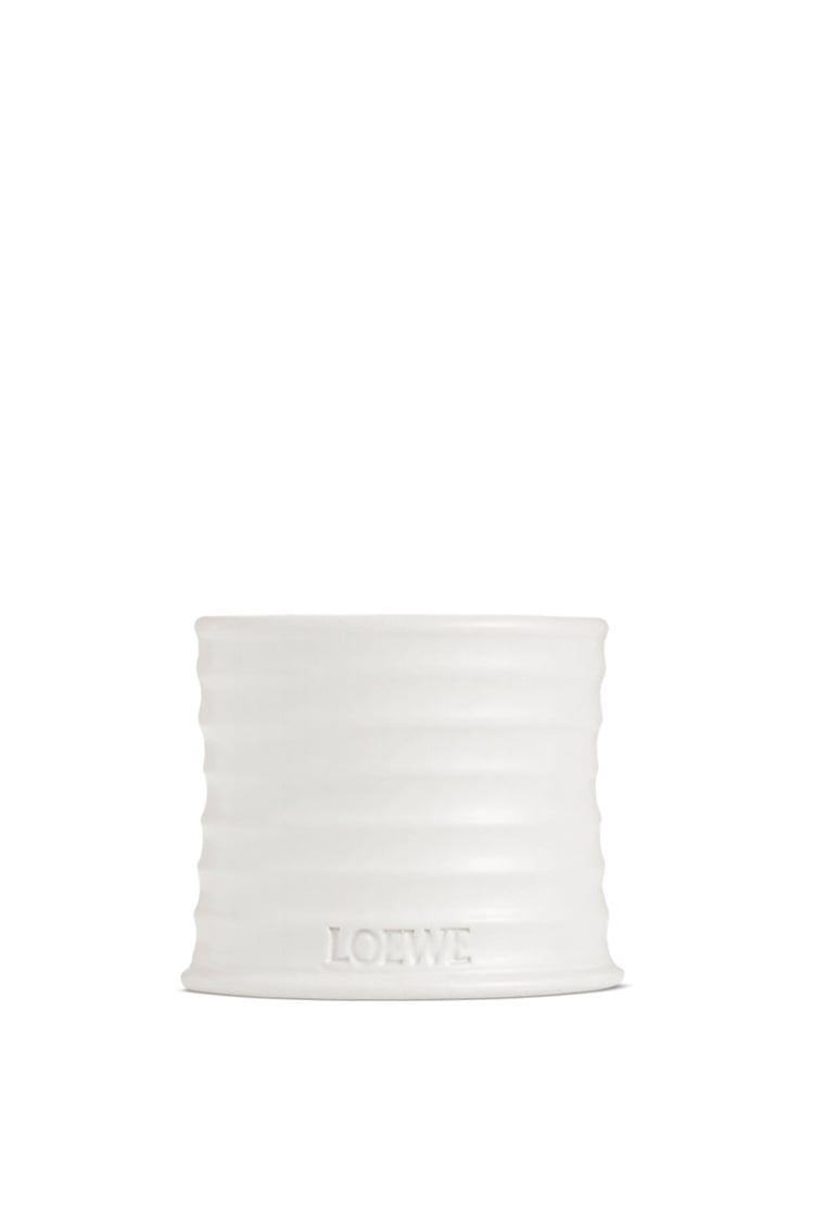 Oregano candle