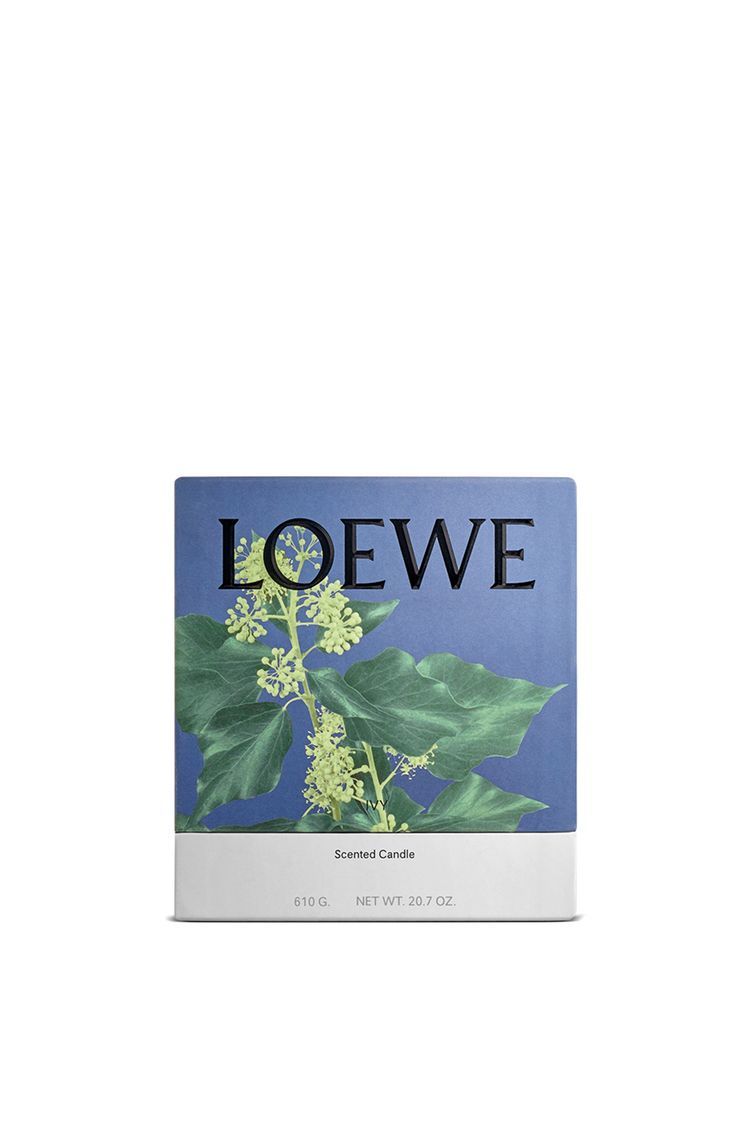 Medium Ivy candle