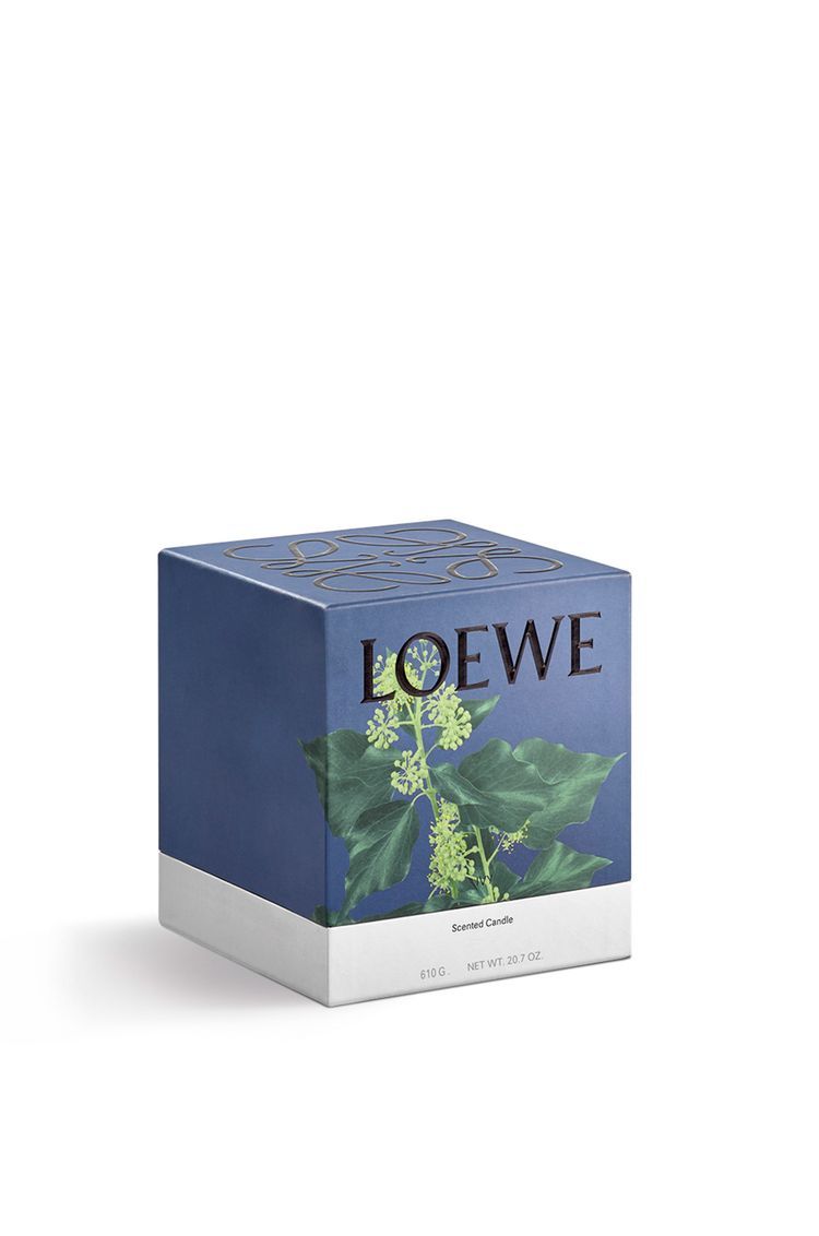 Medium Ivy candle