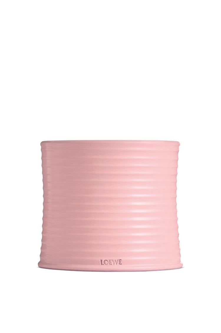 Medium Ivy candle