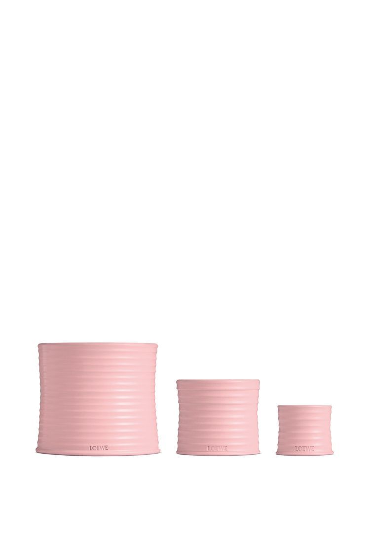 Medium Ivy candle