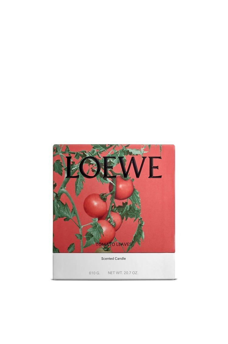 Medium Tomato Leaves candle