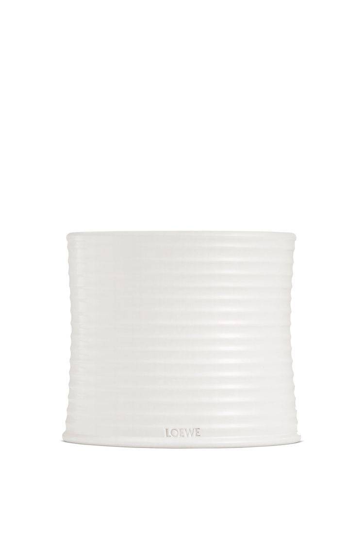 Medium Oregano candle