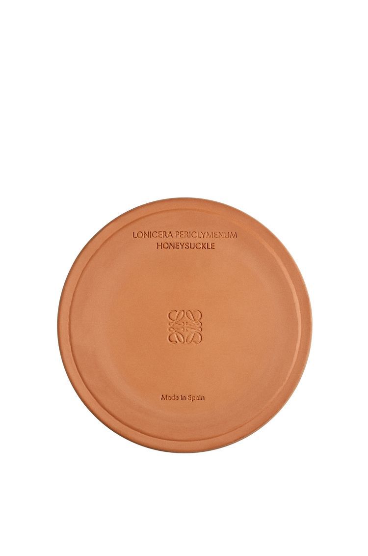 Large Honeysuckle candle