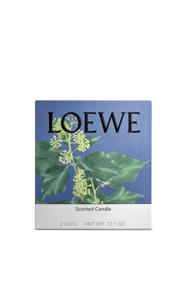 Large Ivy candle