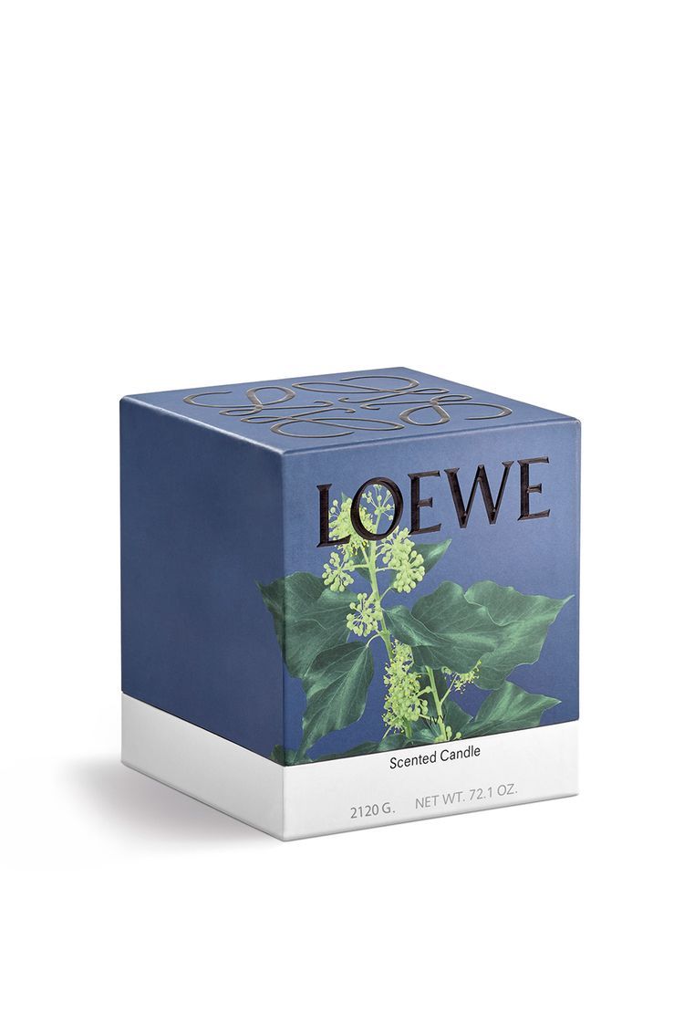 Large Ivy candle
