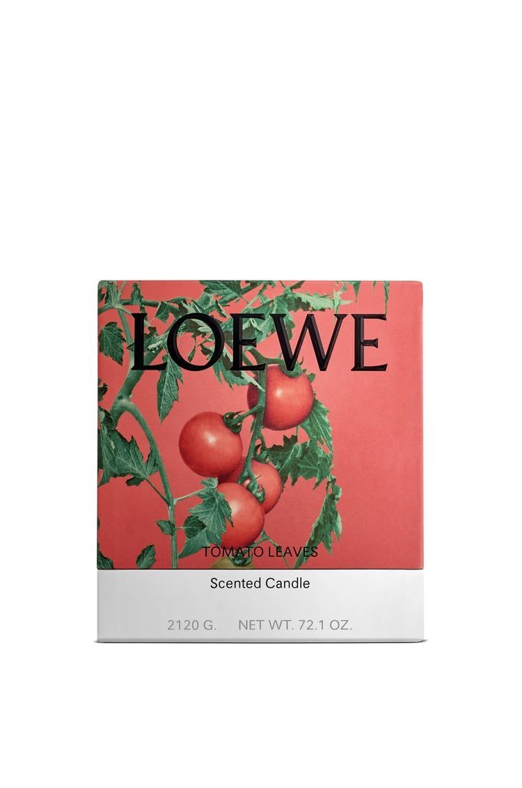 Large Tomato Leaves candle