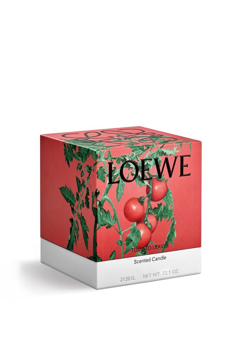 Large Tomato Leaves candle