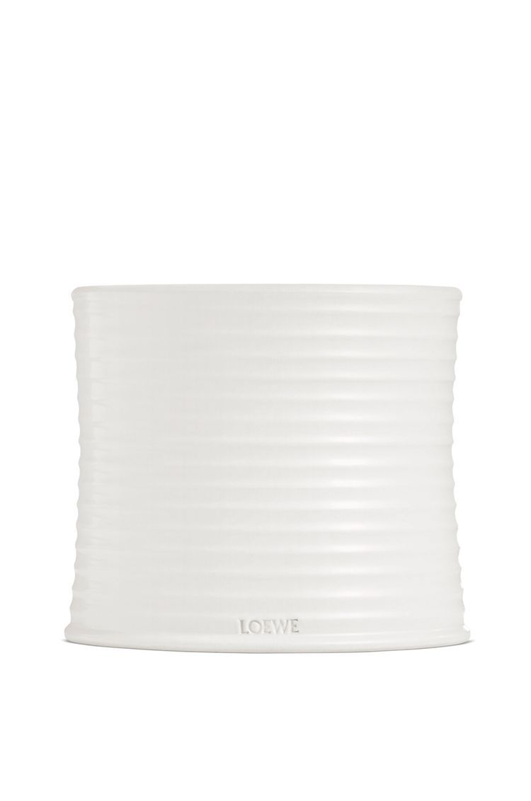Large Oregano candle