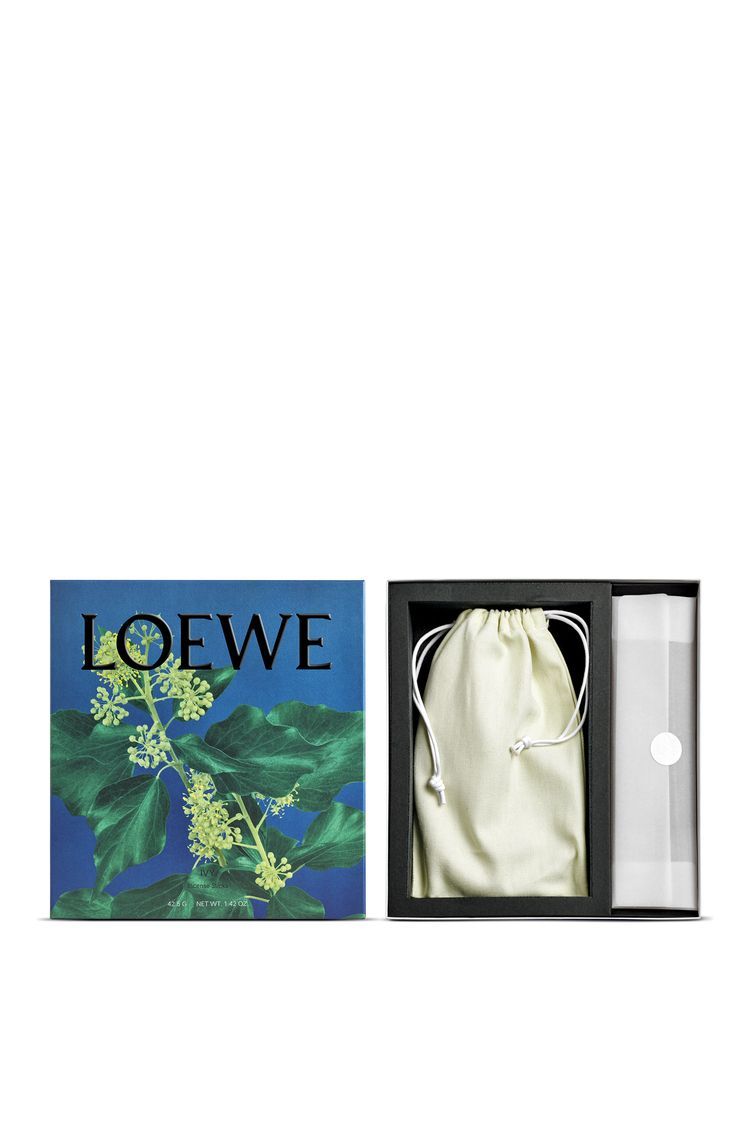 Ivy Incense Set