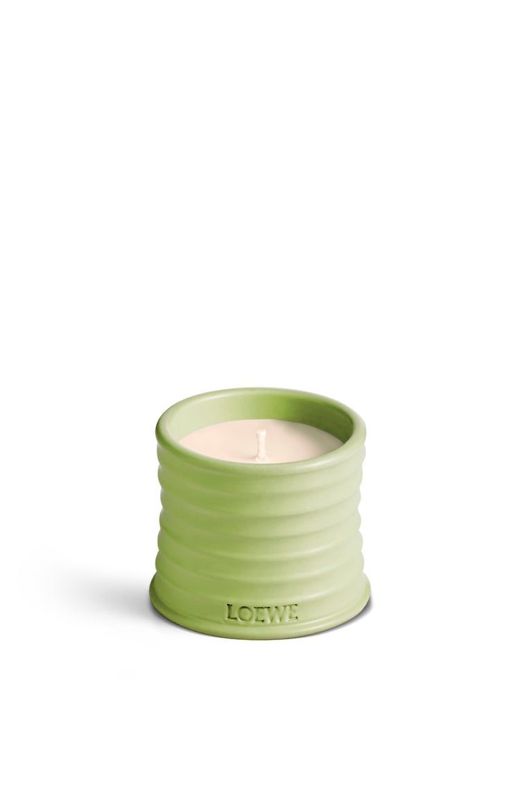 Cucumber candle