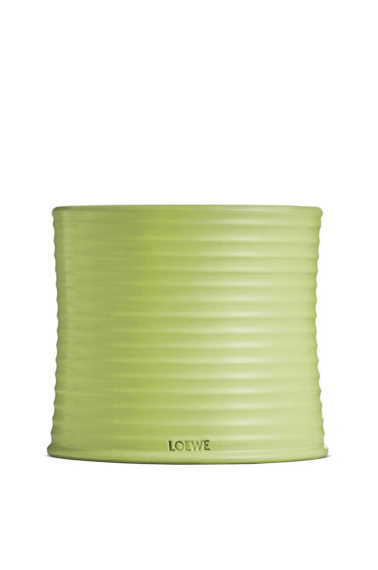 Large cucumber candle