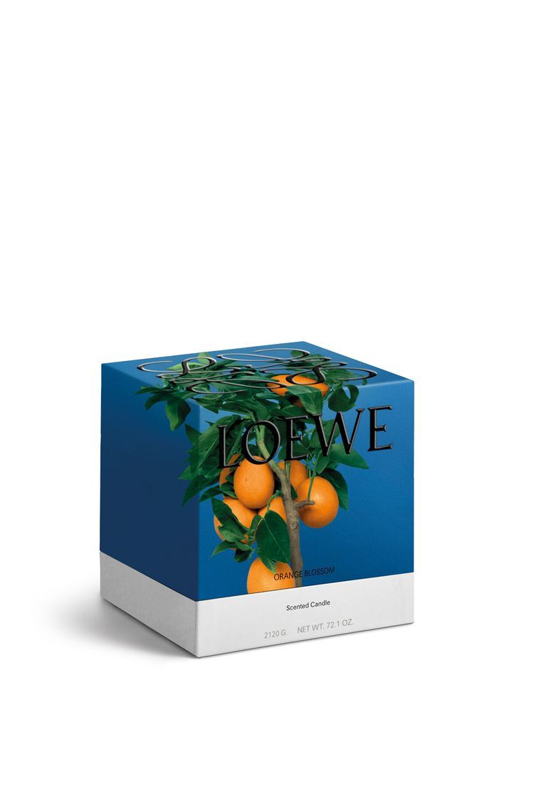 Medium Orange Blossom Candle