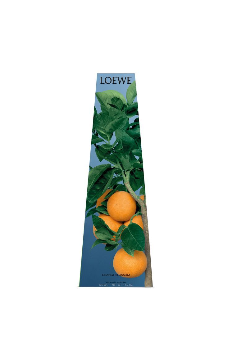 Orange Blossom Wax Candle holder