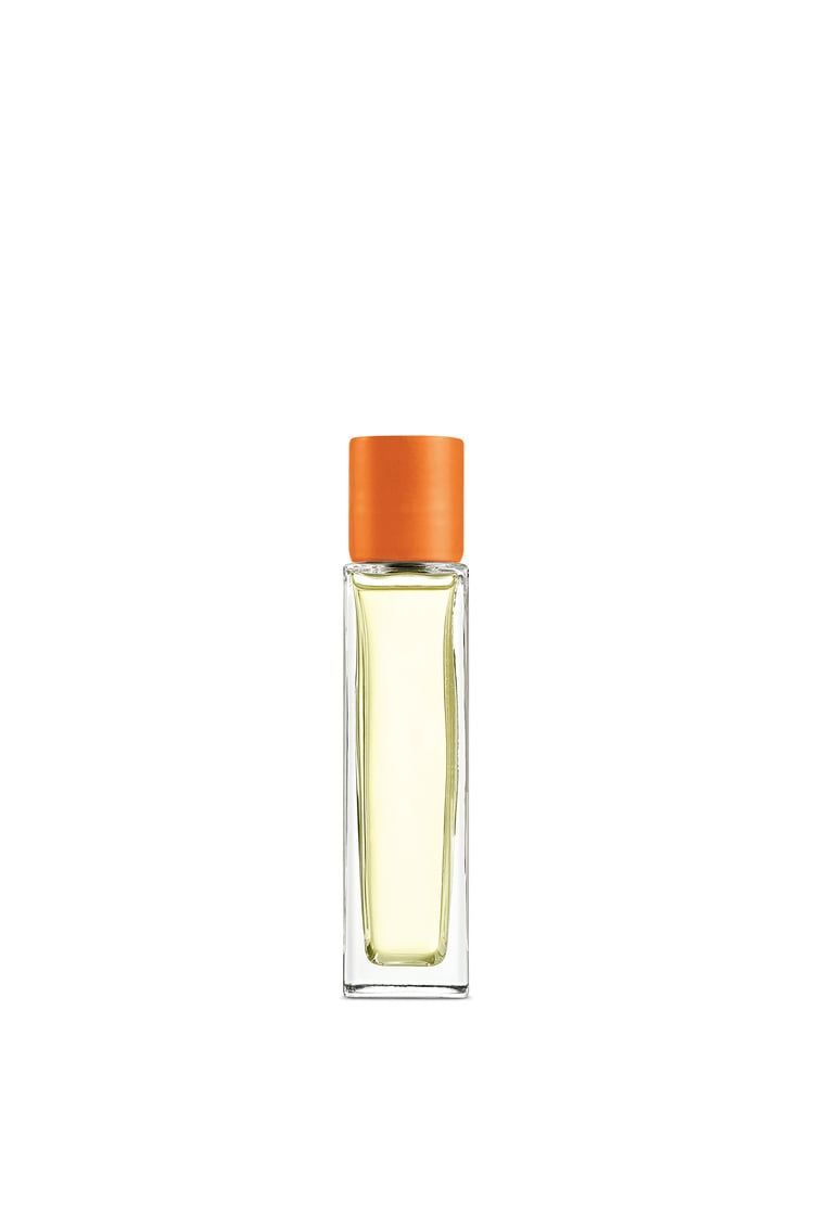 Orange Blossom Home Fragrance