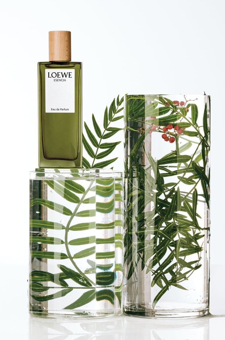 LOEWE Esencia Eau de Parfum 50ml