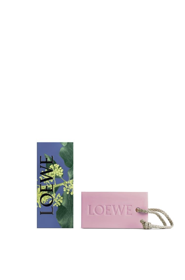 Ivy Large Soap Bar