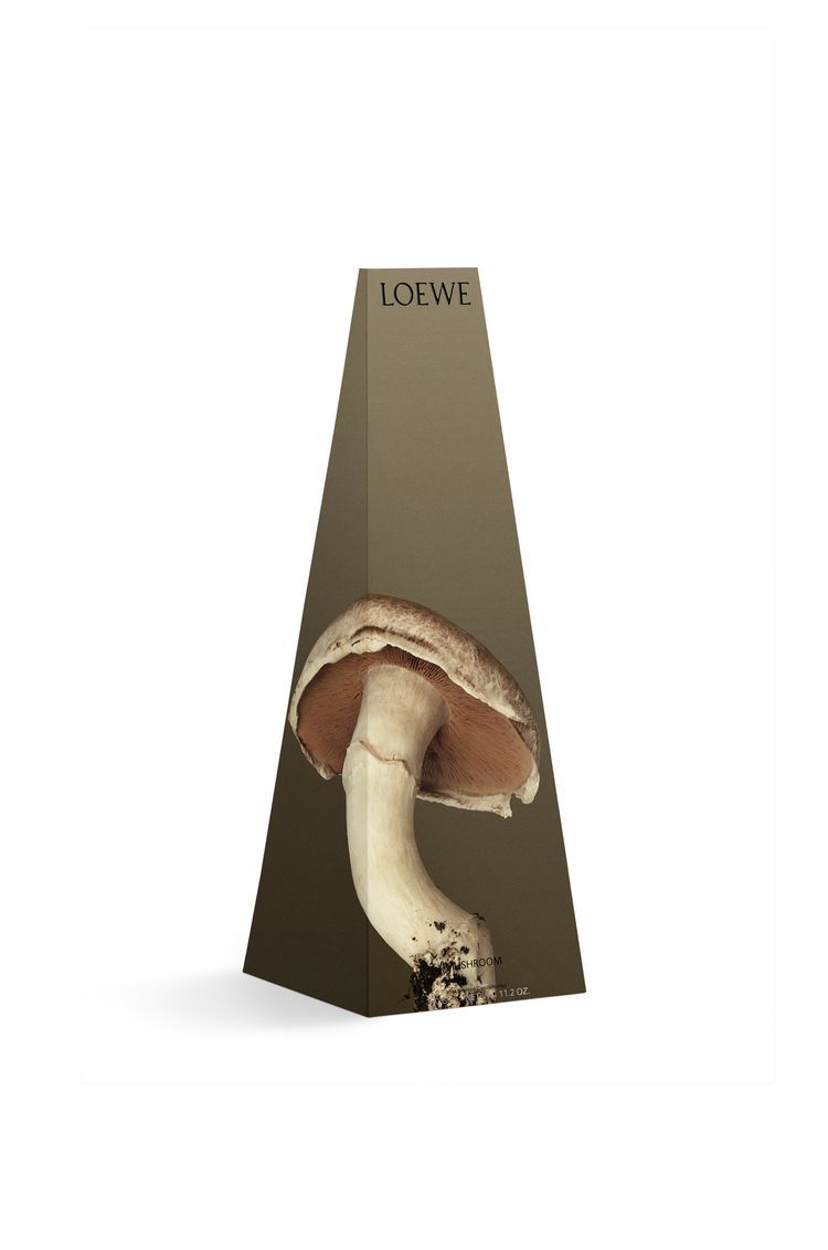Mushroom wax candleholder