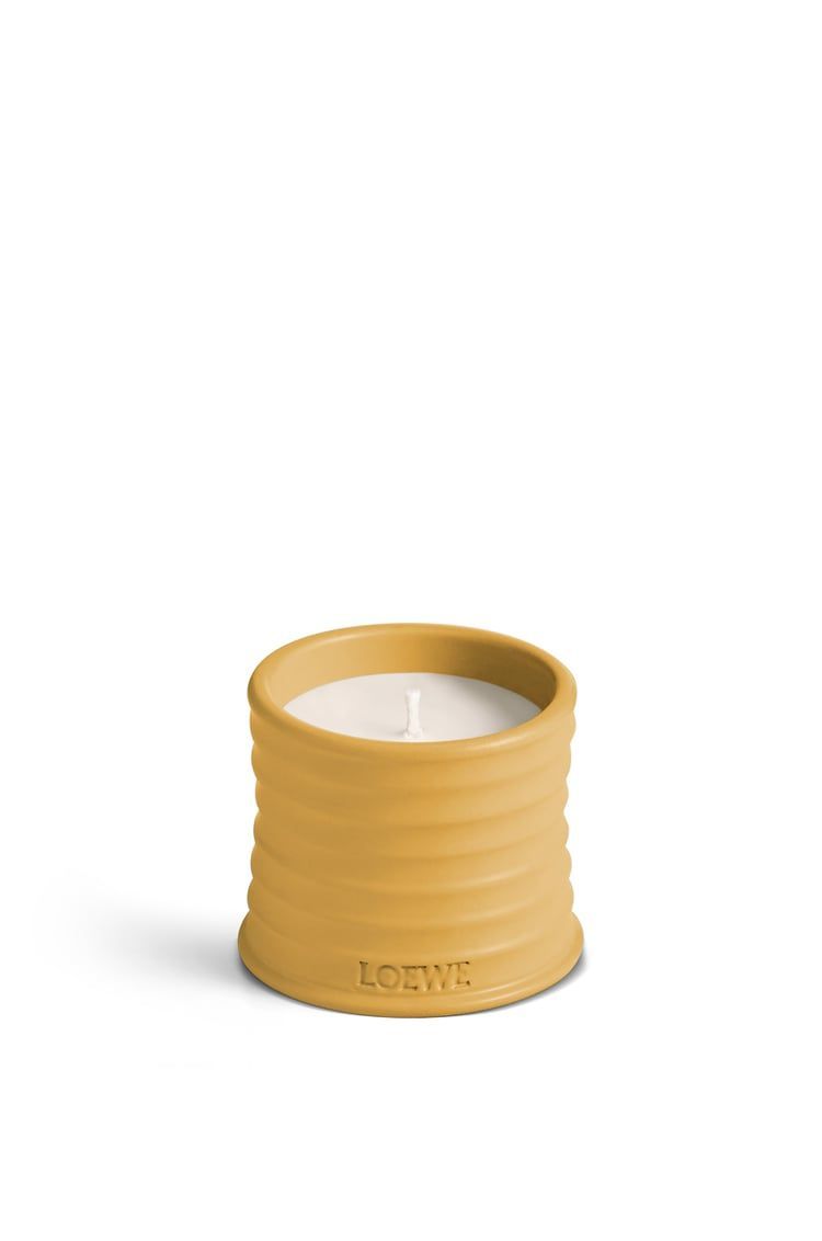Small Wasabi candle