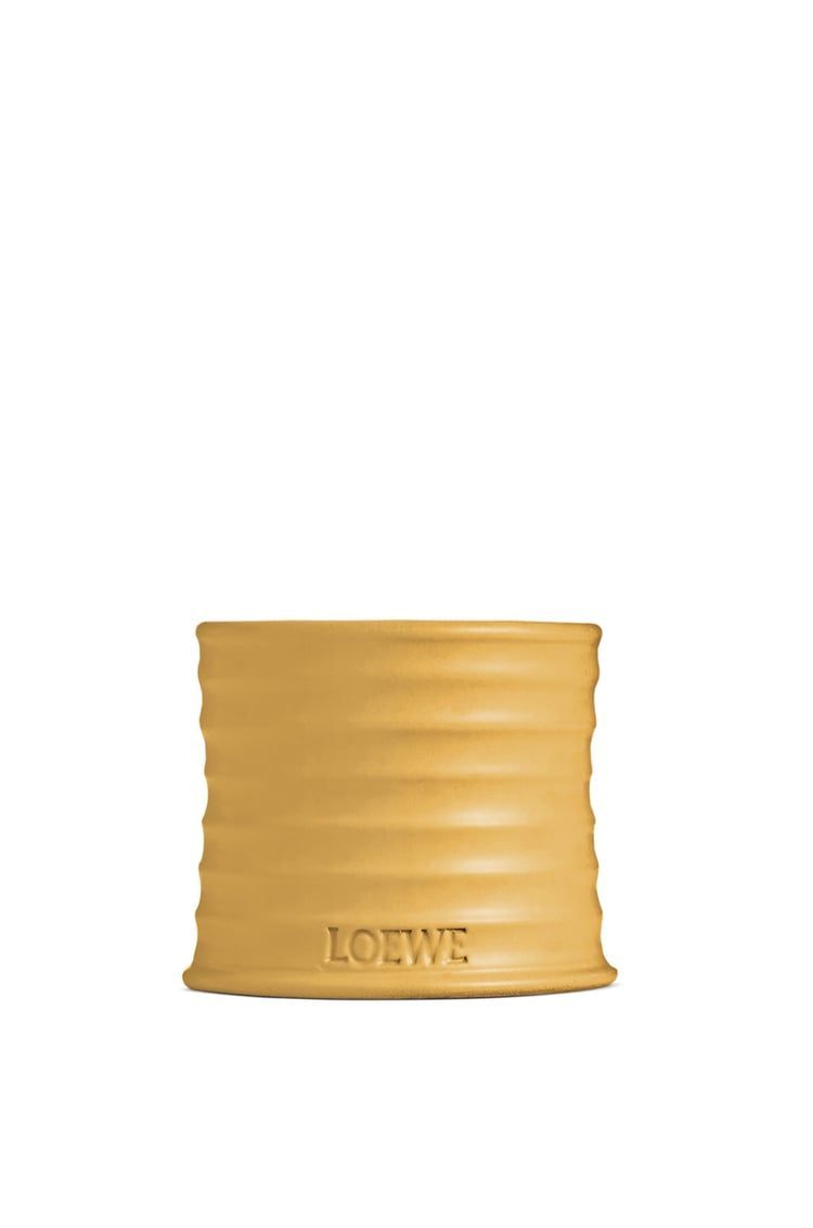 Small Wasabi candle