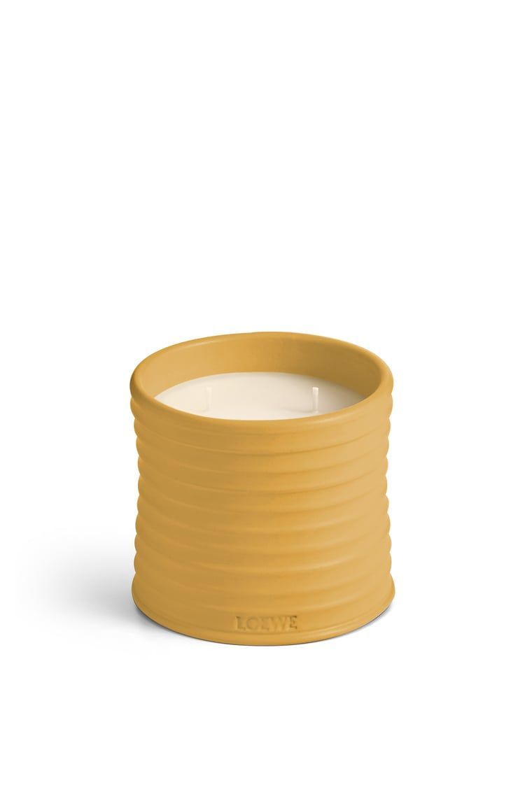 Medium Wasabi candle