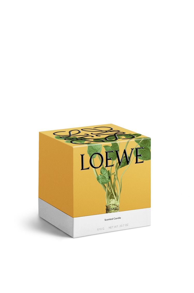 Medium Wasabi candle