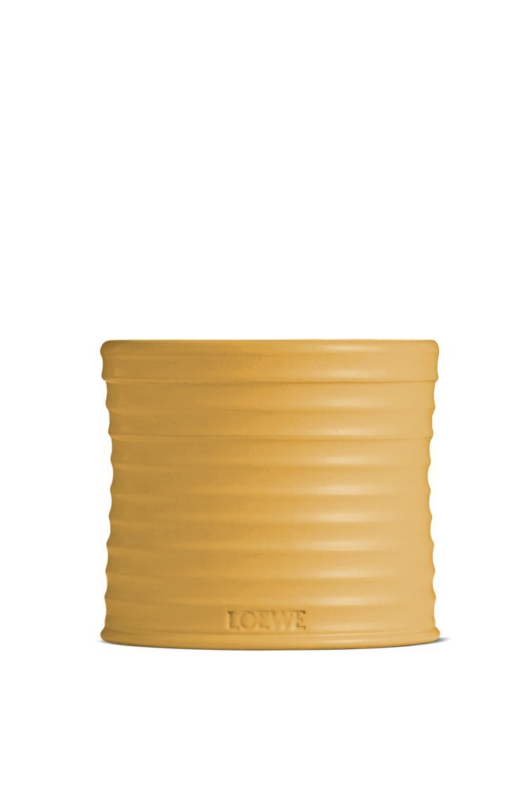 Medium Wasabi candle
